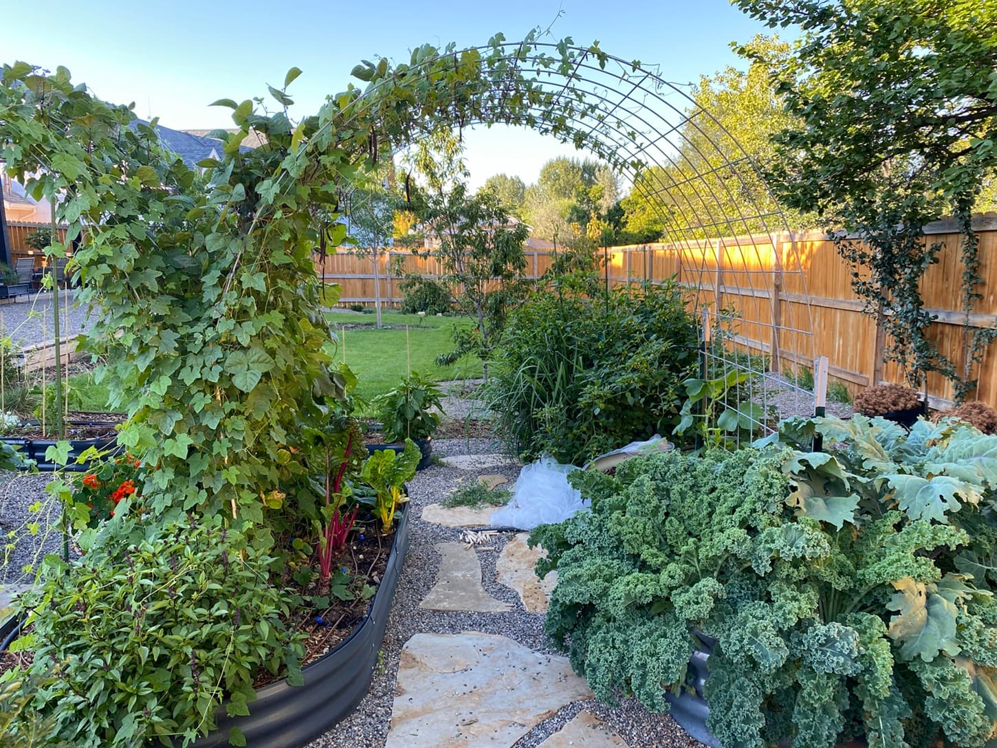 Garden bed with mulch layers and undisturbed soil showing healthy root systems
